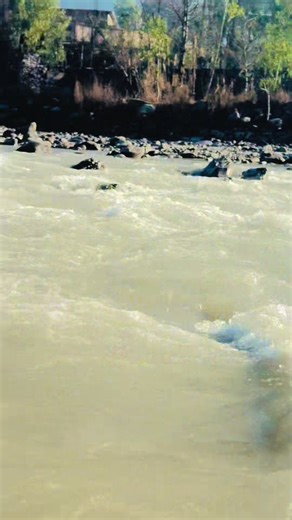 Respecting Coordination: Insights with Tajmal Hussain