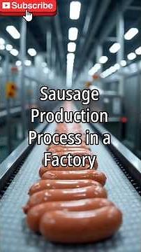 How Sausages Are Made – Inside the Factory! 🌭