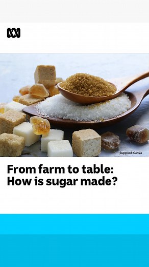 11K views · 29 reactions | It's a staple in sweets, but how is sugar actually made? From farming sugar cane to raw sugar on shop shelves it's quite a process to create the final produce. Abbey Halter via ABC Tropical North | ABC Brisbane | Facebook