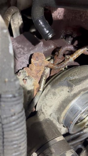 This Cummins Turbo Shouldn't Look Like This at 7 Years #diesel #fail #turbo