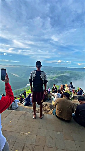 Burung Kakak Tua dan Video Lucu Parrot