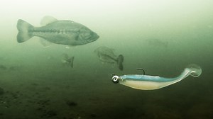 90K views · 551 reactions | This swimbait system is arguably the most versatile and universal tactic out there. Jacob Wheeler teaches how to fish it and DOMINATE‼️ • Swimbait ➡️ https://wired2.fish/StormLargoShad • Jig Head ➡️ https://wired2.fish/VMC-HybridSwimbaitJig | Wired2Fish | Facebook