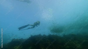 Moalboal, Philippines: Underwater footage of a free diver diving through the famous Moalboal sardines run in the Cebu island in the Visayas in the central Philippines. Shot in slow motion