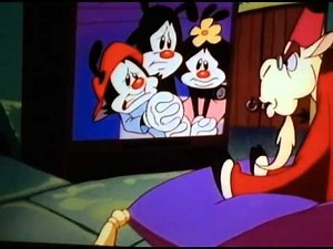 "Animaniacs" Funny Clip (No copyright infringement intended)
