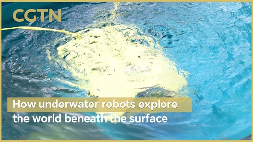 How underwater robots explore the world beneath the surface