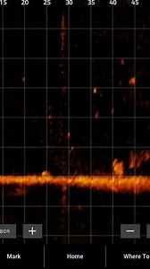 SURVEYING THE SCENE With Garmin #LiveScope, an angler can take in so much data and information. This includes fish behavior, seeing cover underwater, tracking their bait, and more! #FishGarmin #GarminPro #GarminFishHunt #LiveScope | Fisherman's Handbook