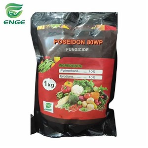 [Hot Item] Agrochemical Fungicide Iprodione 50%Wp Factory Best Price