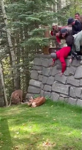 Title: Heroic Elk Rescue: Compassion & Cooperation #ElkRescue #Wildlife #Nature