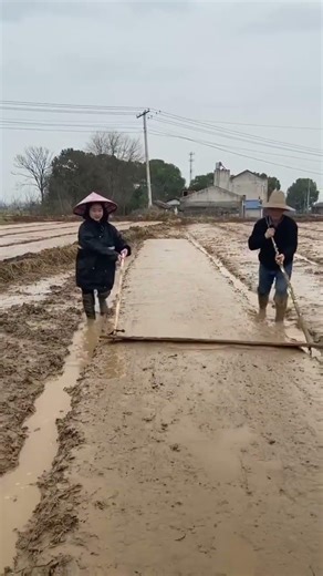 Spring's Awakening: A Fresh Start for Every Year