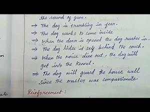 8th std, Lesson plan//🔥 Fire work night//samacheer kalvi