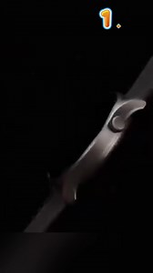 47 reactions · 9 comments | Pametni sat za sve! ⌚ više od 100 funkcija i aplikacija ⌚ kompatibilan sa svim uređajima ⌚ idealan za sportaše  https://superzebra.hr/proizvod/vrhunski-pametni-sat-watchlite-11-gratis/?spe=7715i997 | Superzebra | Facebook