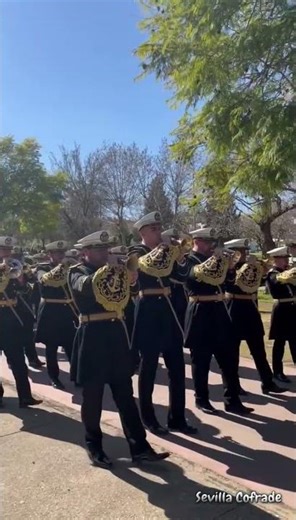 [4K] SANTA CRUZ | GRAN PODER DE CORIA | Sevilla Cofrade