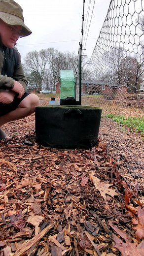Growing carrots in grow bags is a great option for anyone with limited space, adding more growing room to their garden, or who don't have great in ground soil. Here are the 15 gallon grow bags from the video: https://amzn.to/3ApFPmK This video is from last spring. I know a lot of people are looking to start a garden or expand right now and thought it would be a good reminder :D #carrots #howtogrowcarrots #gardening #gardentipsandtricks #growyourownfood | The garden is growing