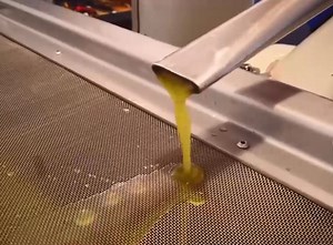 Ελληνικό ελαιόλαδο πιστοποιήθηκε στο εξωτερικό ως συμπλήρωμα διατροφής χάρη στις φαινόλες (video) - ertnews.gr