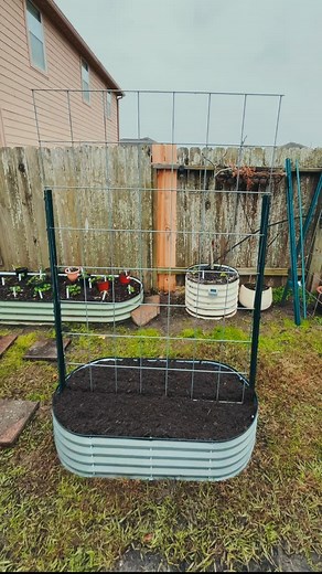 DIY Metal Raised Bed Garden with Trellis! | Texas Garden Guy