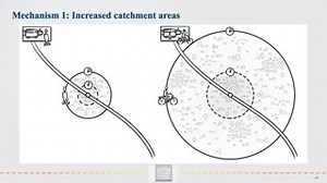 1.4K views · 54 reactions | "Combining the speed and reach of public transport together with the flexibility and door-to-door connectivity of the bicycle leads to a competitive transport mode." Roland Kager explains the synergy between cycling, public transport and urban Planning: https://youtu.be/4XX19qqFNpM | Dutch Cycling Embassy | Facebook