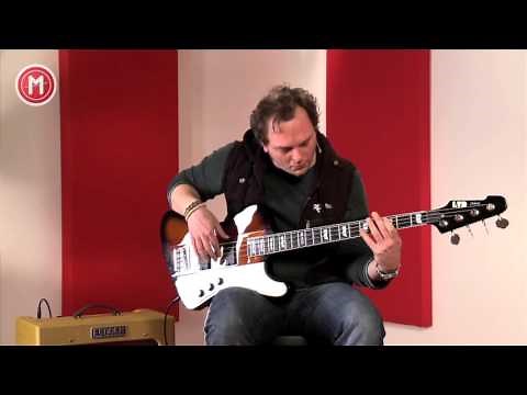 ESP LTD Deluxe Phoenix-1004 2TB