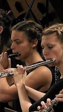 Hungarian Dance no. 5 by Brahms, Polish Youth Symphony Orchestra in Bytom & Maciej Tomasiewicz
