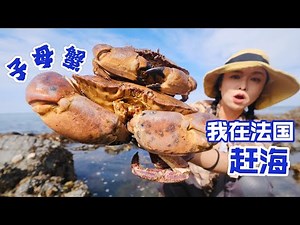 Catching the sea in France, picking up female and male crabs, making seafood grill crab creamy