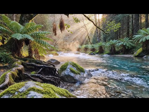 Continuous River Stream and Calm Birds in Nature | Gentle Outdoor Sound for Sleeping and Relaxing