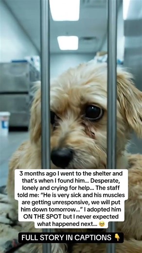 You gonna wanna hear about this 😢👇