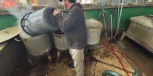 How will recent cold weather affect Louisiana’s crawfish harvest?