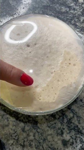 How I activate my yeast #youtubeshorts #lifestyle #dailyvlog