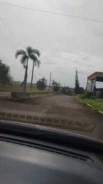 inside moldex new city