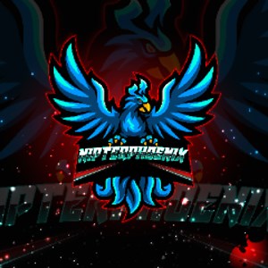 Nipter_Phoenix - Twitch