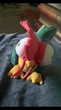 🐓 **HERE COMES THE ROOSTER with Action Bastian!** 🐓