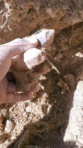 7.2K views · 187 reactions | Crystal flip friday  | Colorado Geology | Facebook