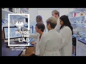 Inside the Lab: A first-hand look at University of Chicago research