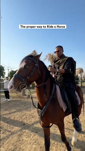 How to Ride a horse as a beginner