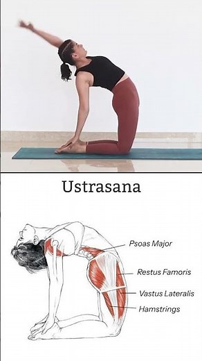 How to Do Ustrasana (Camel Pose) - Anatomy