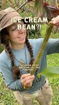 a bean that tastes like ice cream?!