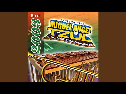 La Iguana (El Tacuazin)