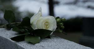 Project Drive Safer: Here's what to do when you come across a funeral procession while driving