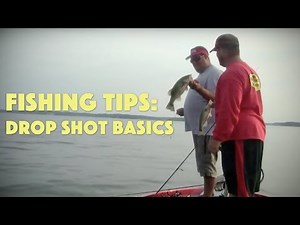 How to Get Started Drop Shot Fishing for Bass