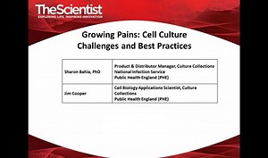 Growing Pains: Cell Culture Challenges and Best Practices