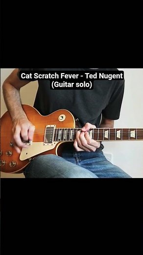 Cat Scratch Fever - Ted Nugent (Guitar solo)