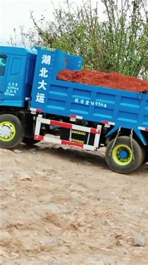 #RC Model #Car Model #Remote Control Model #They Actually Play with Car Models Like This