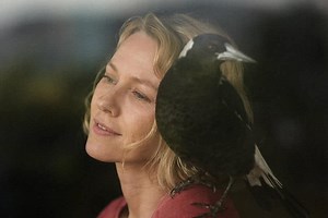 Penguin Bloom trailer: Naomi Watts looks to have delivered one of her career best in this inspiring true story | Bollywood Life