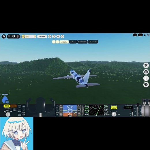 社長が機体を作った結果、、、#飛行機 #ゲーム #plane #simulator