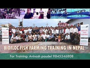 Biofloc Fish Farming Training done by Yuva Agro farm and Research Center.