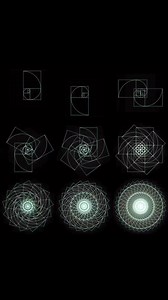4.4K views · 143 reactions | Fibonacci sequence animation using Fibonacci number arrangements. #fibonacci #sacredgeometryartist #fibonaccisequence #art #natureofflowers | Natureofflowers | Facebook