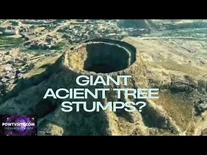 The Pre-Flood Forest of Giants & Ancient Tree Stumps: The Biblical Answer to a Global Mystery