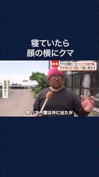 寝ていて「気づいたら顔の横に」クマ出没相次ぐ #shorts