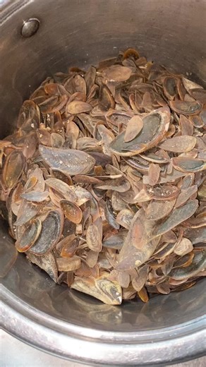 Fresh Mussels Preparation in a Kitchen Setting