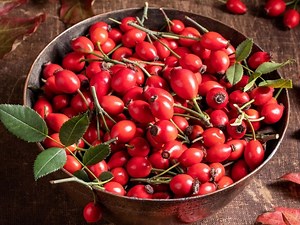 The Best Way To Eat Rosehips - Woodland Classroom