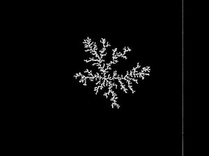 Diffusion Limited Aggregation (DLA) Works